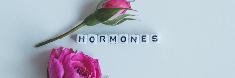 Weibliche Hormone